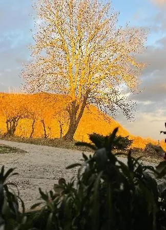Allotjaments Rurals Punti Agroturismo *