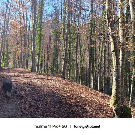 Allotjaments Rurals Punti Agroturismo *