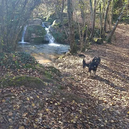 Alojamento de Turismo Rural Allotjaments Rurals Punti *