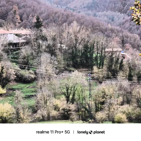 Allotjaments Rurals Punti *