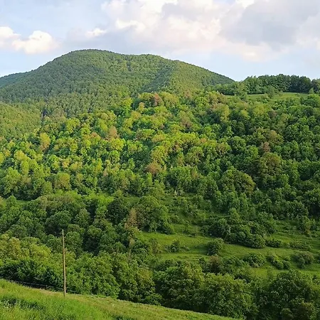 Allotjaments Rurals Punti Alojamento de Turismo Rural