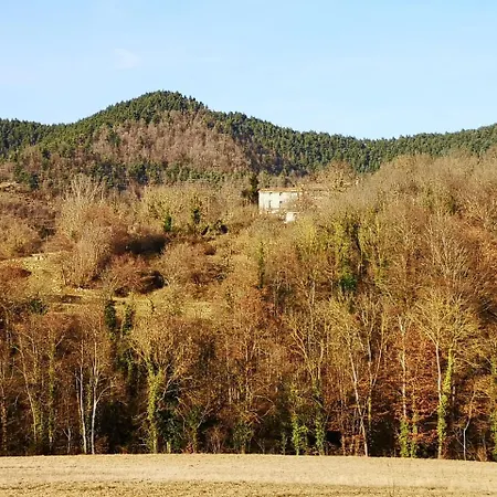 Allotjaments Rurals Punti Bauernhof